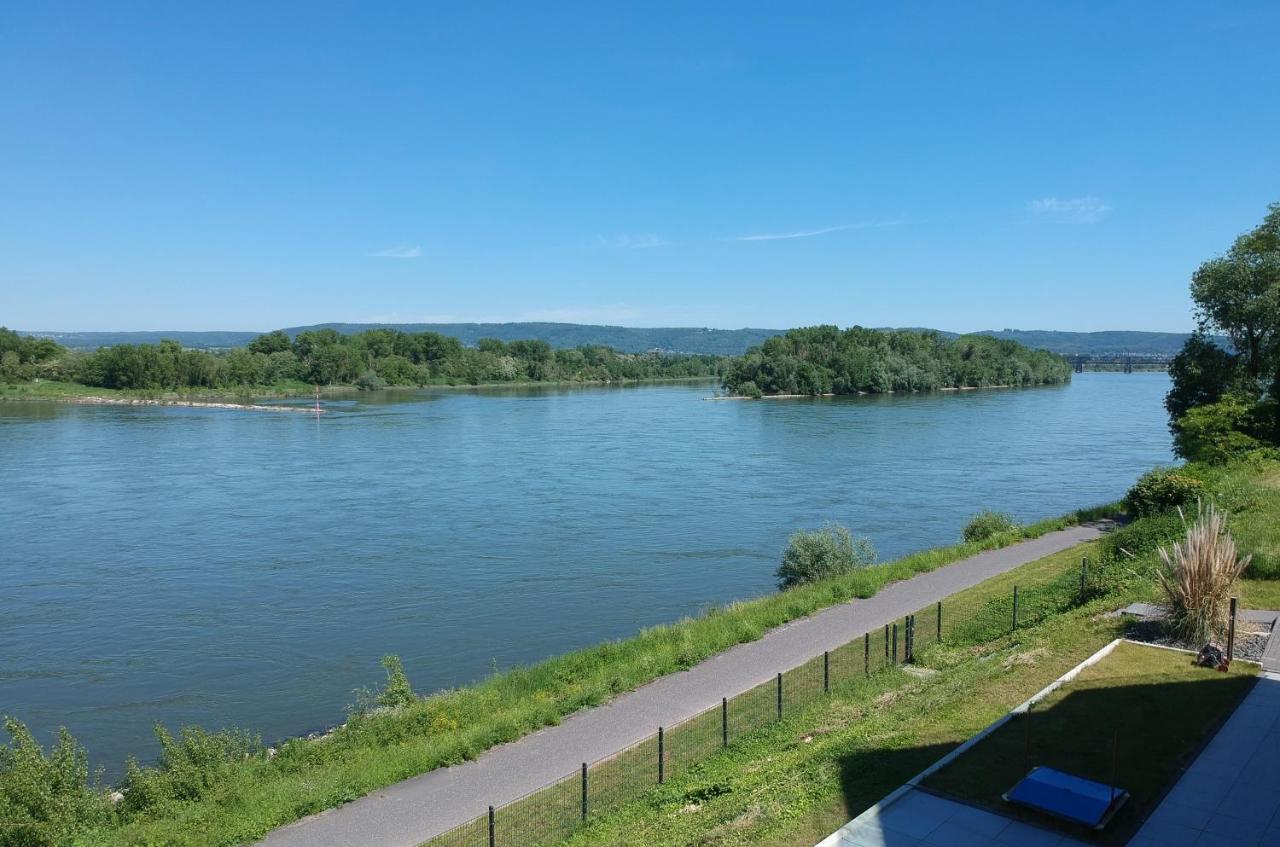 Rhein Lounge Appartement Urmitz Buitenkant foto